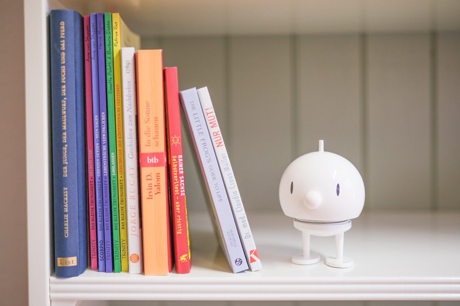 Bücherregal mit bunten Fachbüchern und einer kleinen weißen Figur